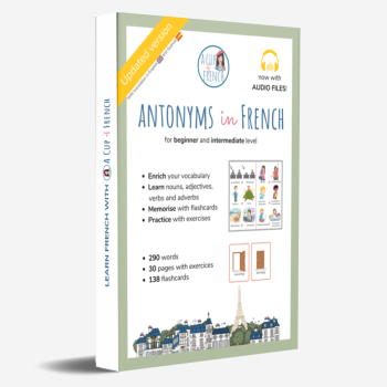 Mockup Antonyms ebook